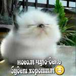   iliza_16