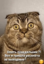      ! :)