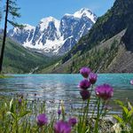  *,    ,  ** ***,  , !