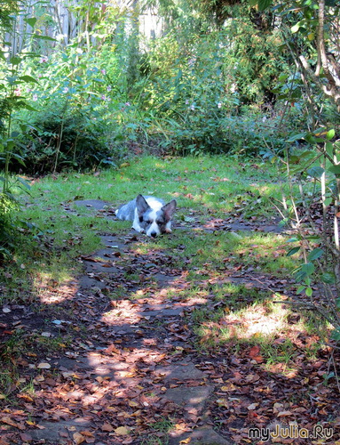 �������� �� ����