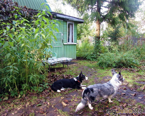 ������� �� ����