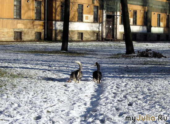 ���������� ��������