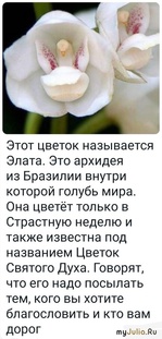 ����, �������, ��� ����������, ��������, ����������.