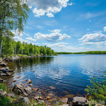 ������� �����������: ���������, ������� � ����������.